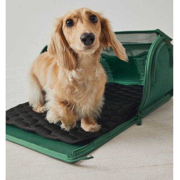 Pet Carrier - Picture 2 of 9